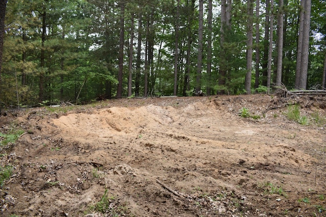 226 N 176th Ave, Walkerville, MI 49459 - view of nature