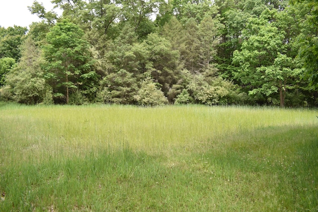 226 N 176th Ave, Walkerville, MI 49459 - view of tree filled area
