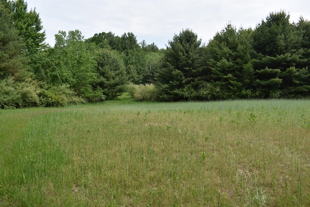226 N 176th Ave, Walkerville, MI 49459 - view of nature