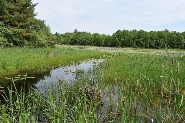 226 N 176th Ave, Walkerville, MI 49459 - water view