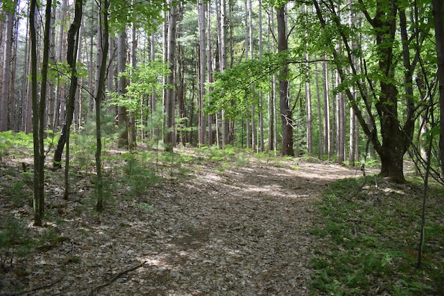 226 N 176th Ave, Walkerville, MI 49459 - view of woods