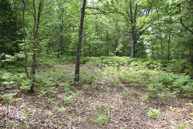 226 N 176th Ave, Walkerville, MI 49459 - view of woods