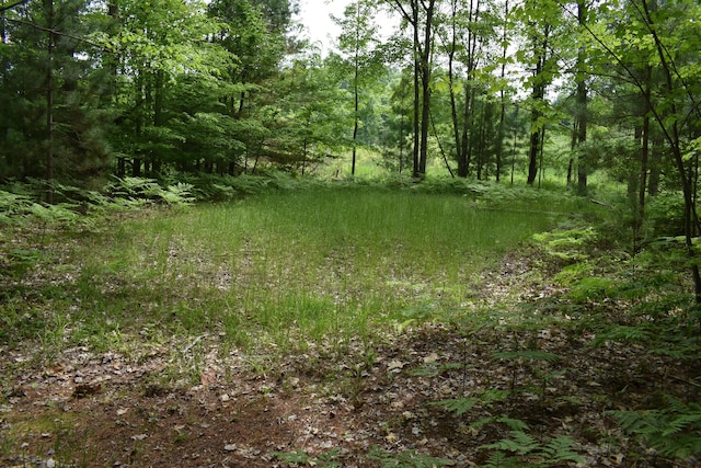 226 N 176th Ave, Walkerville, MI 49459 - view of wooded area