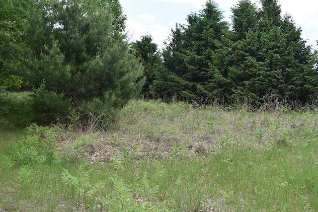 226 N 176th Ave, Walkerville, MI 49459 - view of local wilderness