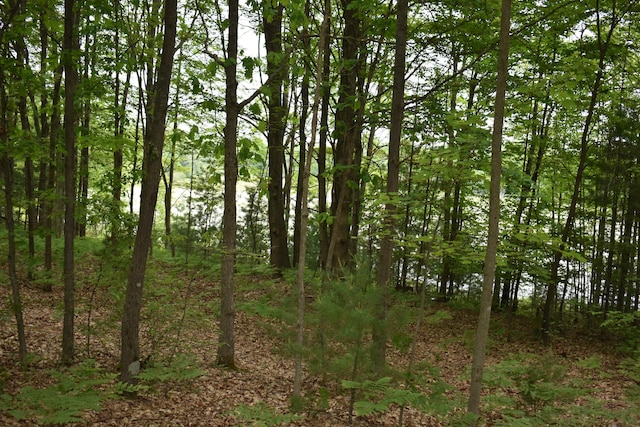 226 N 176th Ave, Walkerville, MI 49459 - view of woods