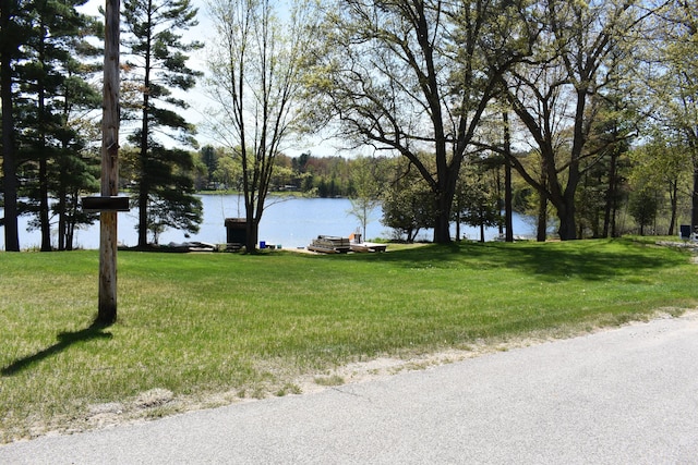 226 N 176th Ave, Walkerville, MI 49459 - water view with a boat dock