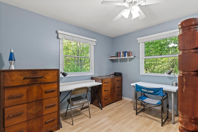 2980 N Old State Rd, Weidman, MI 48893 - home office featuring light wood-style flooring, healthy amount of natural light, ceiling fan, and baseboards