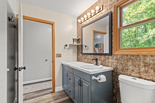 2980 N Old State Rd, Weidman, MI 48893 - bathroom with vanity, wood finished floors, toilet, and baseboards