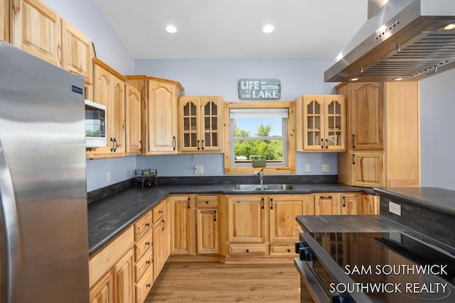 1034 Thompson St SW, Stanton, MI 48888 - kitchen featuring freestanding refrigerator, wall chimney range hood, a sink, built in microwave, and light wood finished floors