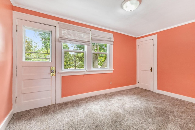 1032 Lafayette Ave NE, Grand Rapids, MI 49503 - carpeted spare room featuring healthy amount of natural light, baseboards, and ornamental molding