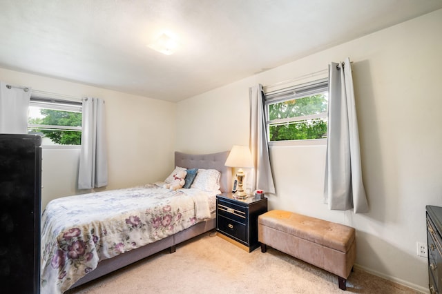 275 Benjamin St, Benton Harbor, MI 49022 - bedroom with light carpet