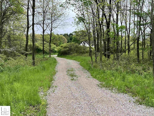 3801 Sutton Rd, Metamora, MI 48455 - view of dirt / gravel road featuring a wooded view