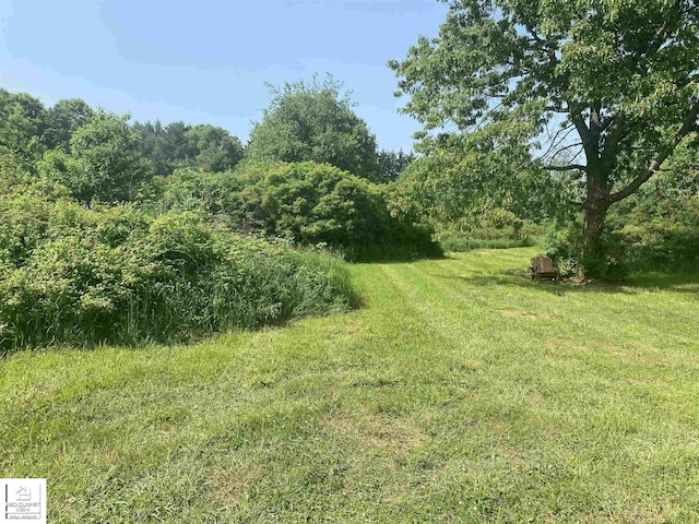 3801 Sutton Rd, Metamora, MI 48455 - view of yard featuring a forest view