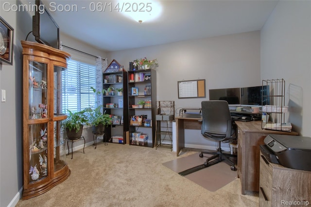 31626 Beaver Cir, New Boston, MI 48164 - carpeted home office with baseboards