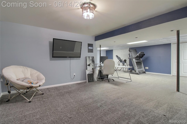 31626 Beaver Cir, New Boston, MI 48164 - home office with carpet floors