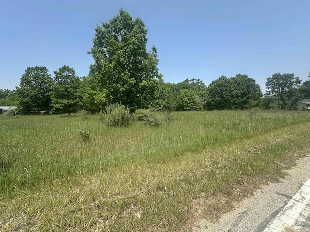 1029 Bonanza Ln, Weidman, MI 48893