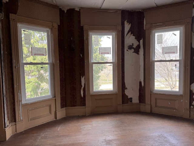 205 Main St, Dowagiac, MI 49047 - entryway with healthy amount of natural light and hardwood / wood-style flooring