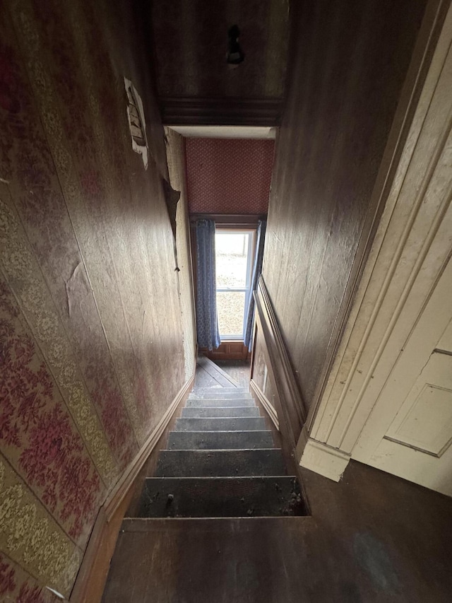 205 Main St, Dowagiac, MI 49047 - stairway with baseboards and wooden walls