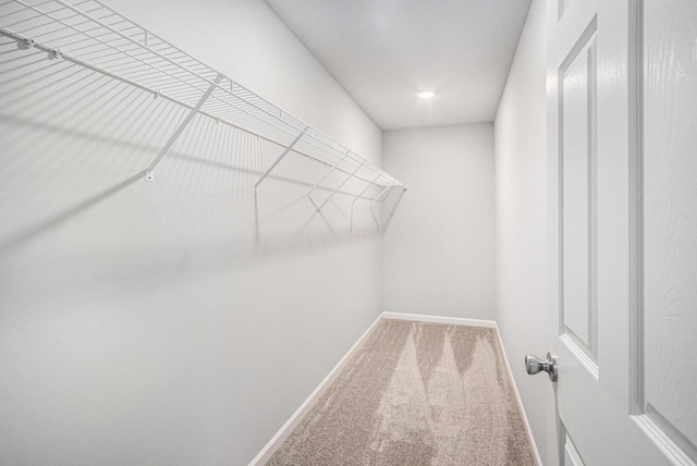 608 Arizona Blvd, Three Rivers, MI 49093 - walk in closet with carpet floors