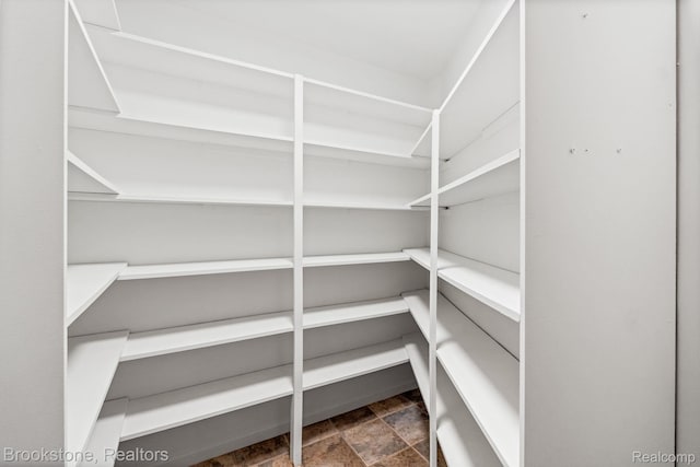 26569 Autumn Lake Dr, Chesterfield, MI 48051 - view of pantry