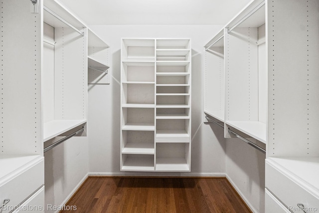 26569 Autumn Lake Dr, Chesterfield, MI 48051 - spacious closet featuring dark wood-style flooring