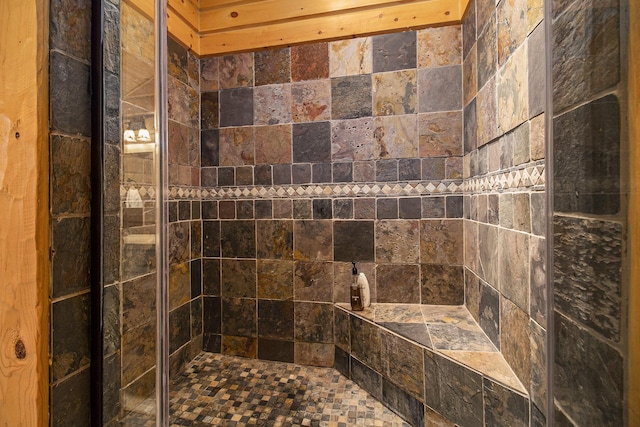 1547 N Dennis Rd, Ludington, MI 49431 - bathroom with a tile shower