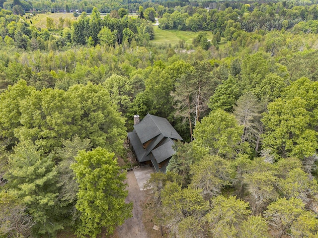 1547 N Dennis Rd, Ludington, MI 49431 - view of subject property with a heavily wooded area