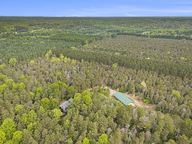 1547 N Dennis Rd, Ludington, MI 49431 - aerial overview of property's location featuring a forest