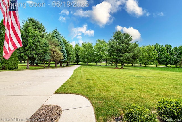 75757 Peters Dr, Bruce, MI 48065 - view of community featuring a lawn and view of wooded area