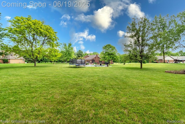 75757 Peters Dr, Bruce, MI 48065 - view of green lawn featuring a trampoline
