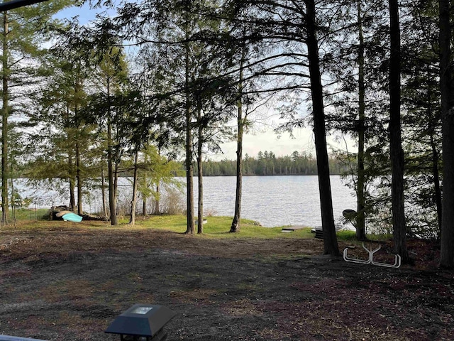 1158 E Lake Dr, Kalkaska, MI 49646 - photo 2