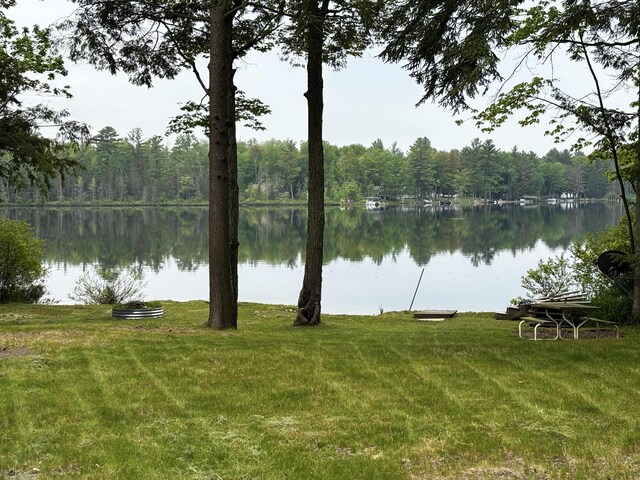 1158 E Lake Dr, Kalkaska, MI 49646 - photo 37