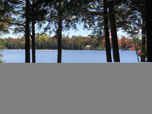 1158 E Lake Dr, Kalkaska, MI 49646 - photo 4