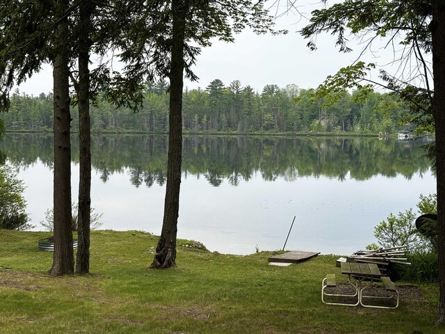 1158 E Lake Dr, Kalkaska, MI 49646 - photo 5