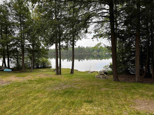 1158 E Lake Dr, Kalkaska, MI 49646 - photo 6