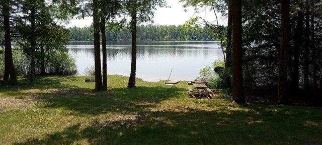 1158 E Lake Dr, Kalkaska, MI 49646 - photo 32