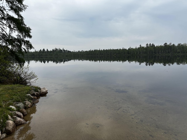 1158 E Lake Dr, Kalkaska, MI 49646 - photo 7
