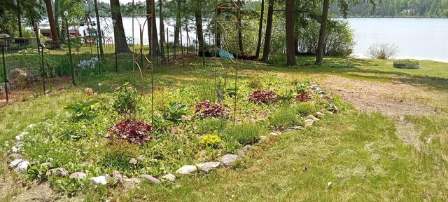 1158 E Lake Dr, Kalkaska, MI 49646 - photo 31