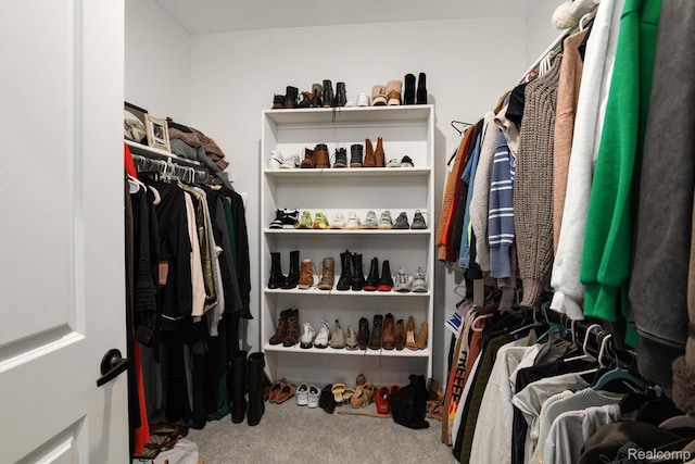 50035 Anita Way N, Macomb, MI 48044 - walk in closet featuring carpet flooring