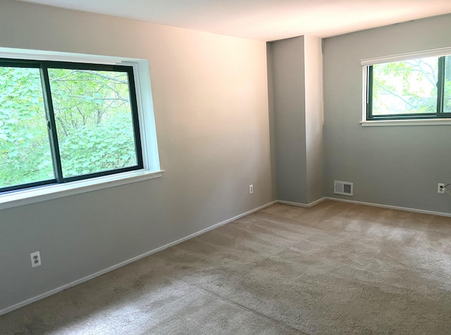 2165 Pauline Ct, Ann Arbor, MI 48103 - empty room with carpet and baseboards
