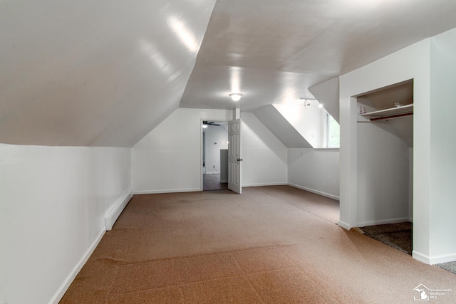 45510 Arkona Rd, Belleville, MI 48111 - bonus room featuring carpet, lofted ceiling, baseboard heating, and baseboards