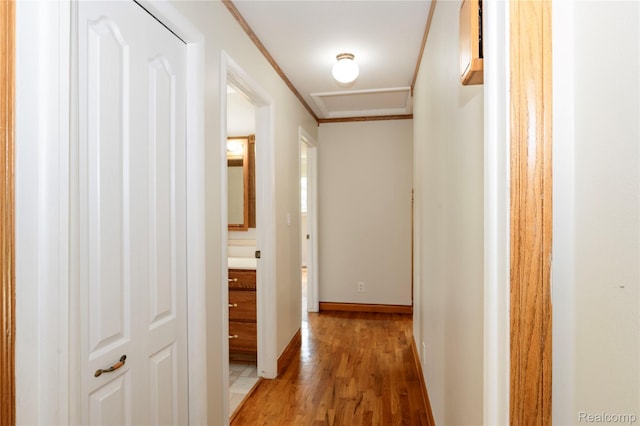 3460 N Gale Rd, Davison, MI 48423 - corridor featuring light wood-type flooring, ornamental molding, and baseboards
