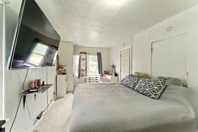 3307 Brookfield Ave, Kalamazoo, MI 49048 - bedroom with multiple windows, a textured ceiling, and light colored carpet