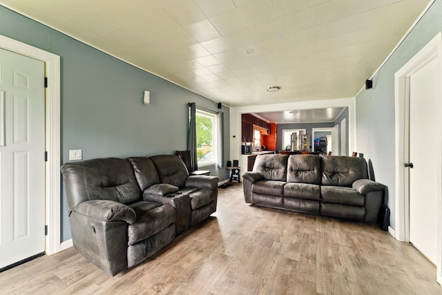 3307 Brookfield Ave, Kalamazoo, MI 49048 - living area featuring light wood-type flooring