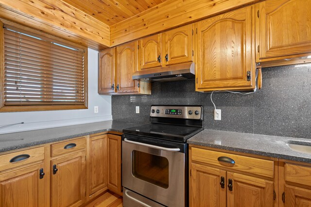 125 Wa Wee Nork Dr Unit 109-5-A, Battle Creek, MI 49015 - kitchen featuring electric stove, under cabinet range hood, decorative backsplash, and brown cabinetry
