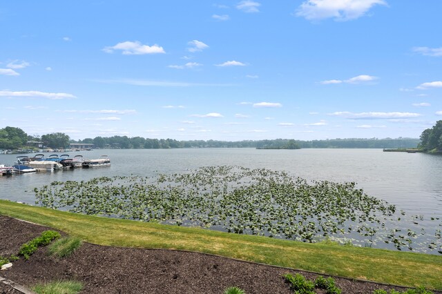 125 Wa Wee Nork Dr Unit 109-5-A, Battle Creek, MI 49015 - water view