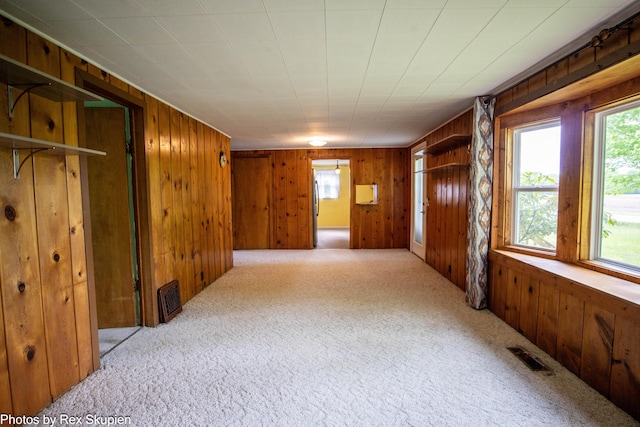 3118 W 104th St, Grant, MI 49327 - carpeted spare room featuring wood walls