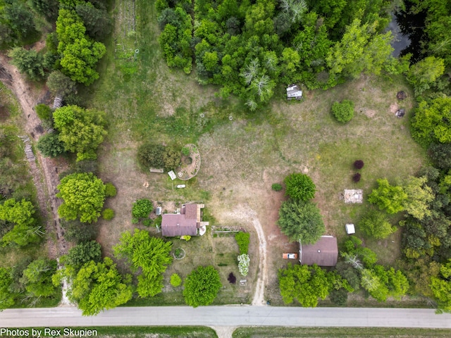3118 W 104th St, Grant, MI 49327 - bird's eye view