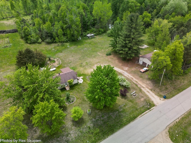 3118 W 104th St, Grant, MI 49327 - bird's eye view