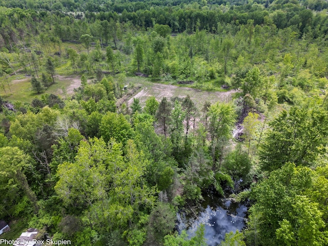 3118 W 104th St, Grant, MI 49327 - bird's eye view of a forest